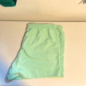 Patagonia mint green shorts